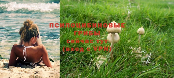 MDMA Premium VHQ Заводоуковск