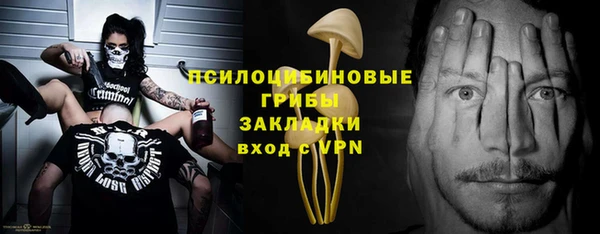 ALPHA PVP Ельня